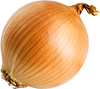 onion