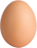 pastured egg