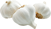 garlic glove