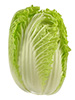 cabbage leaves