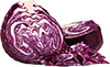 cabbage