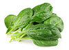 spinach leafs
