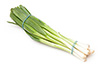 scallions